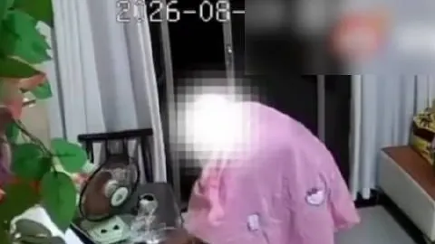 王者荣耀世界冠，博鱼体育官网，军杯预热，战队蓄势待发